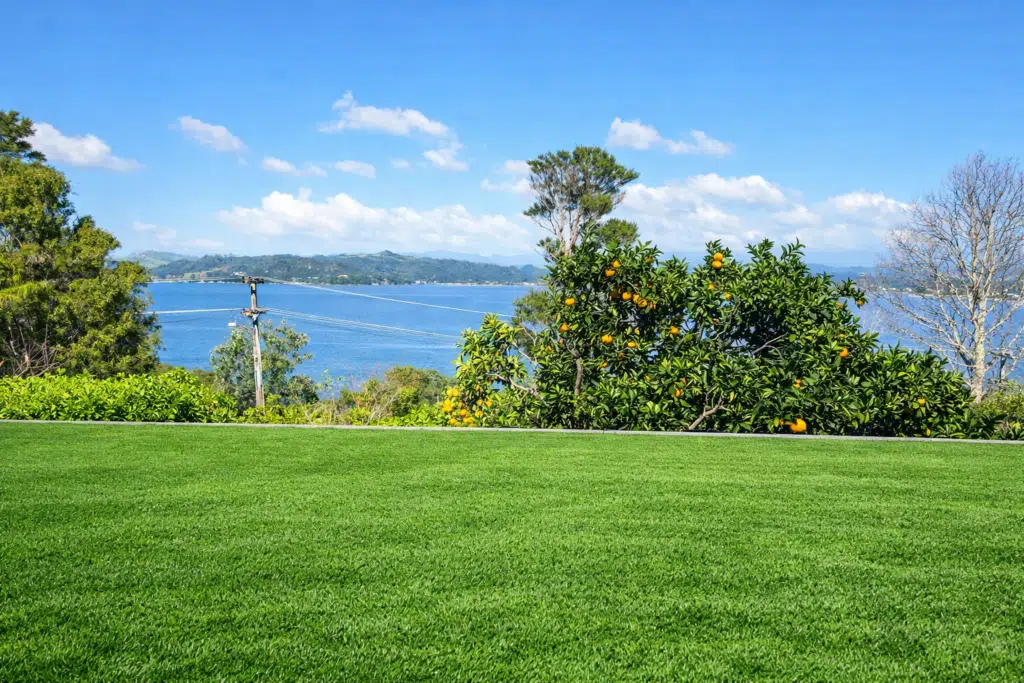 Artificial Grass NZ Cost