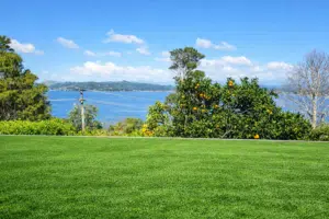Artificial turf cleaning overlooking a bright blue bay with orange trees and green hills in the background.