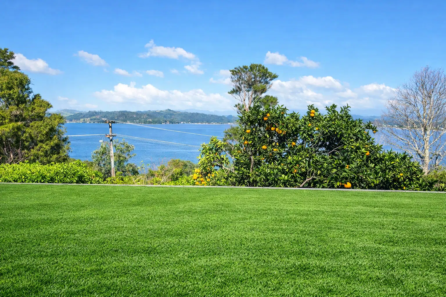 Artificial Grass NZ Cost: Budgeting Tips