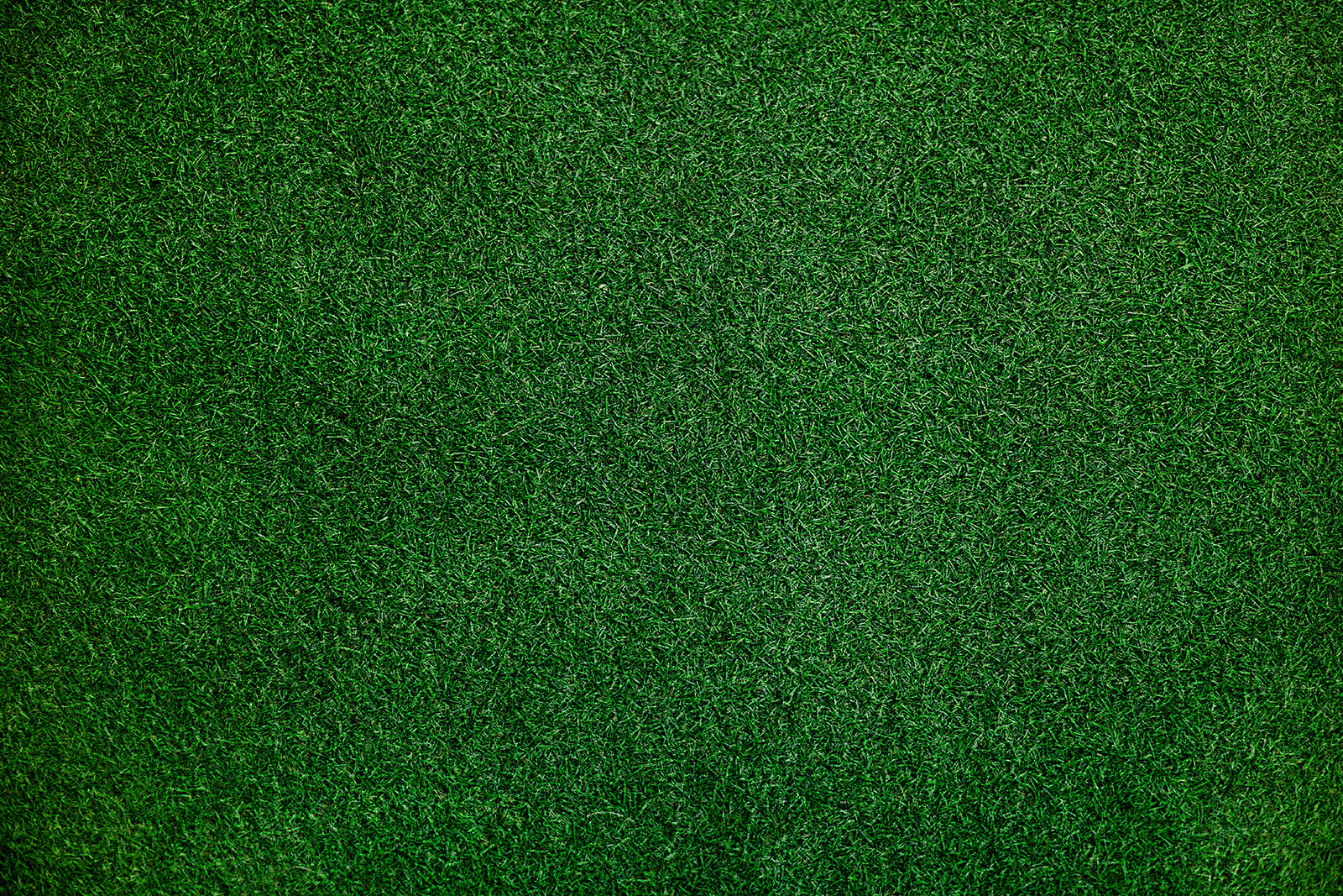 Artificial Grass: Lush Lawns Without the Hassle