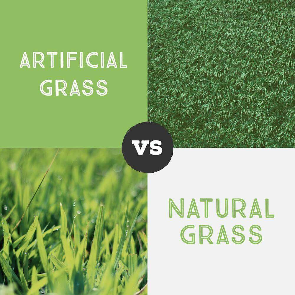 7 Reasons Why Artificial Grass Better Than Real Grass