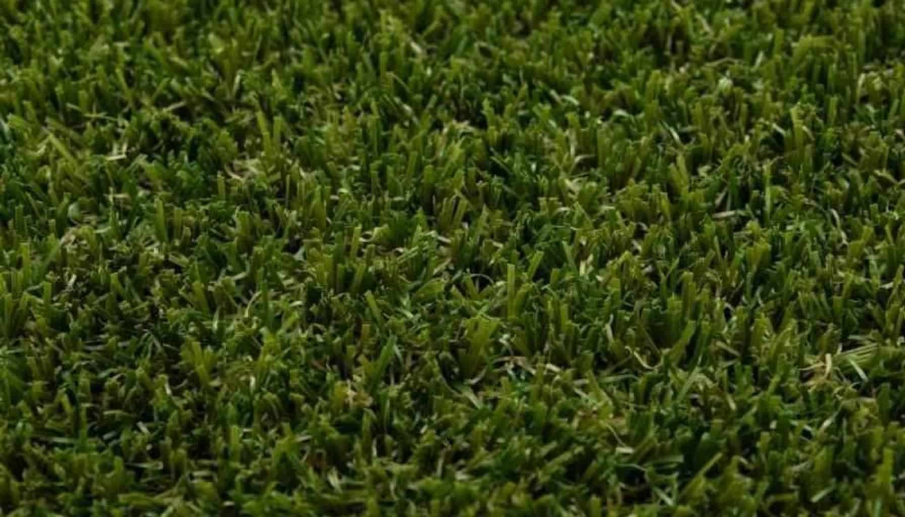 Why Artificial Turf is the Future of Kiwi Lawns