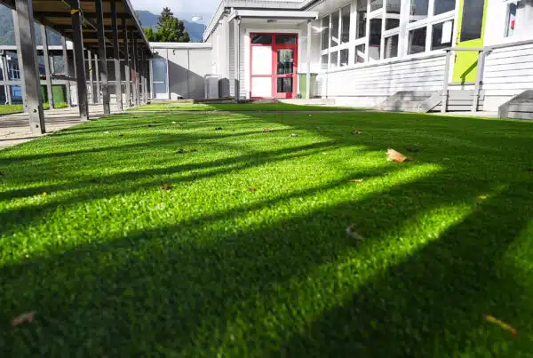 artificial grass vs real grass comparison