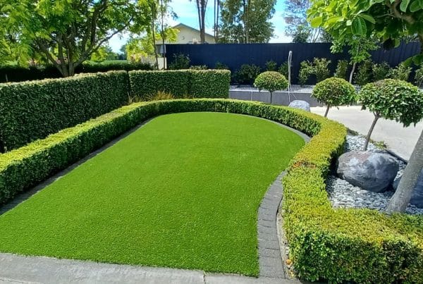 Artificial grass lawn with neatly trimmed hedge border in a residential NZ garden