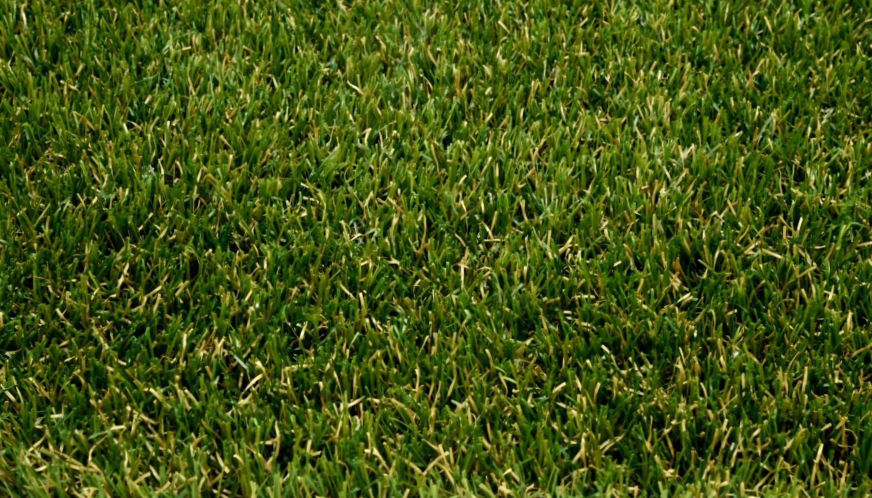 Synthetic Turf NZ: Choosing the Right Type