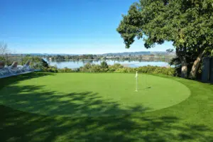 Artificial putting green 