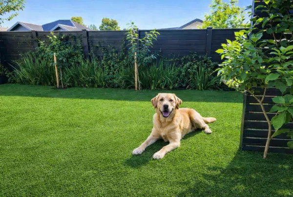 Pet-Friendly Artificial Grass